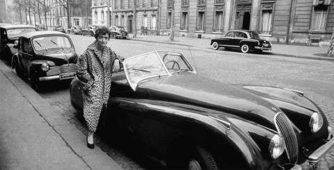 jaguar