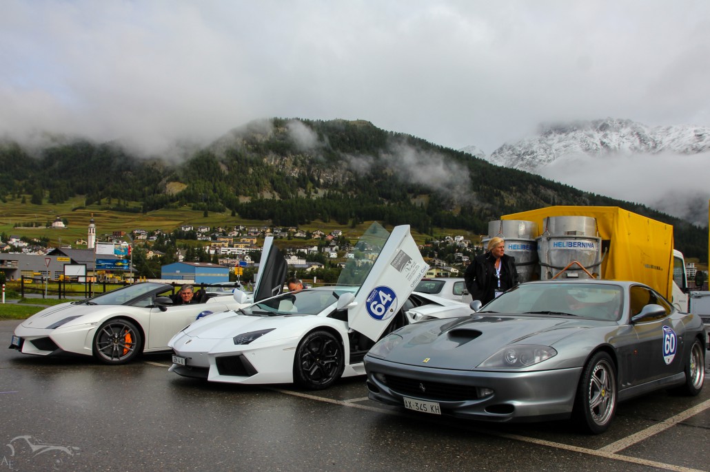 Passione Engadina 2013 3 IMG_5621