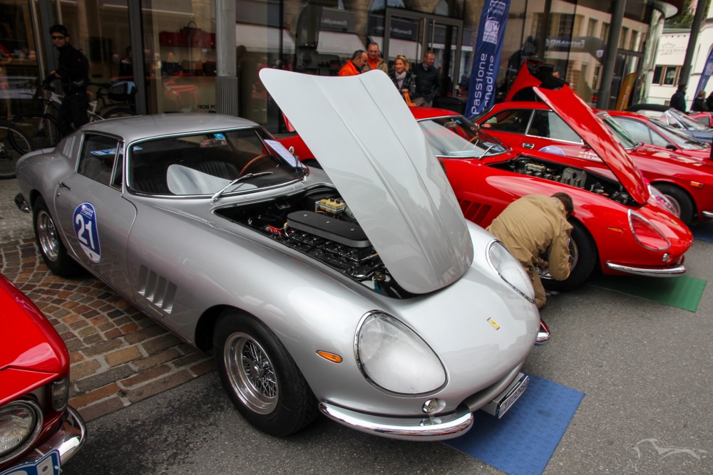 Passione Engadina 2013 57 IMG_6044