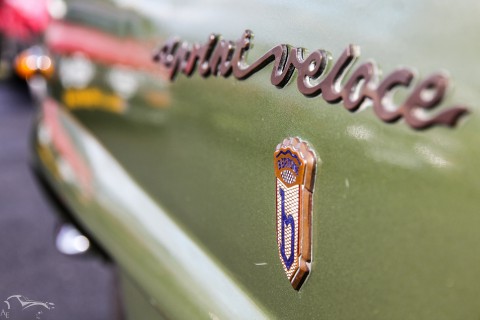 IMG 09131