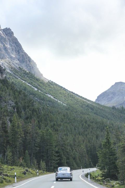 IMG 0965