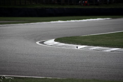 IMG 3965 3