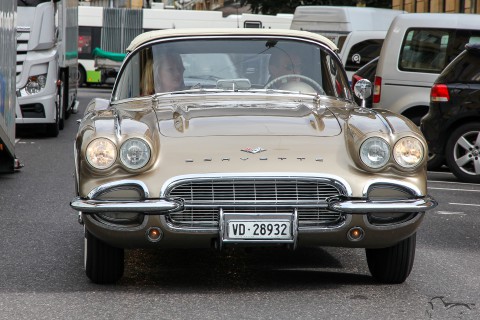 IMG 4578