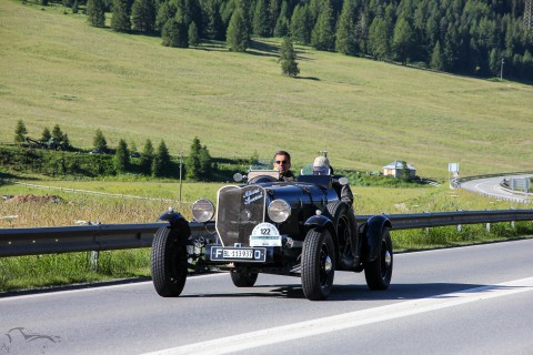 IMG 9956