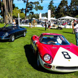 Quail 2015 13 IMG 0010 8 uai