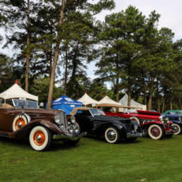 Concours d'Elegance Of Texas 11 IMG 0161 uai