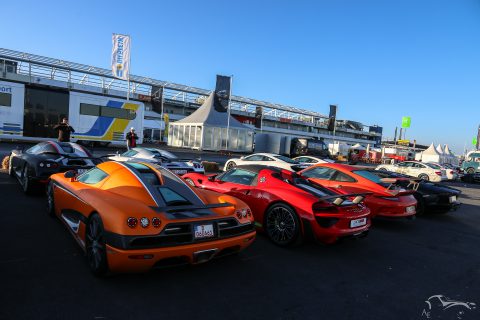 IMG 0493
