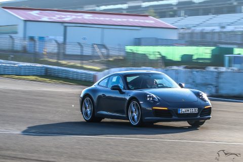 IMG 0527