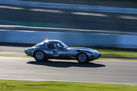 IMG 0610