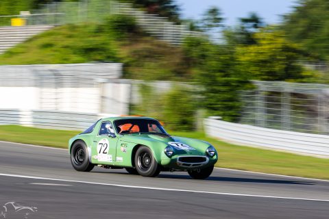 IMG 0684
