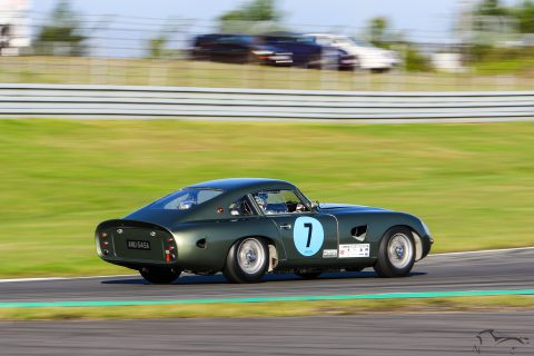 IMG 0741