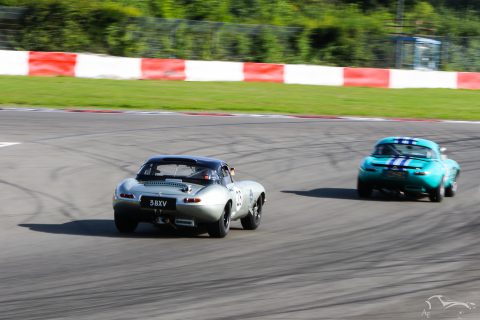 IMG 0899