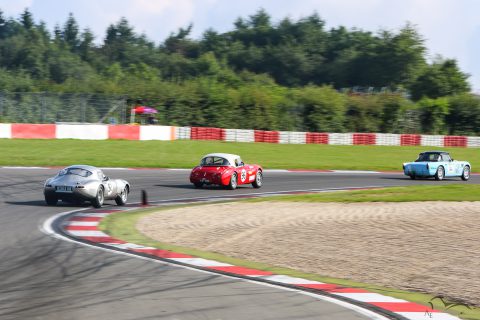 IMG 0973