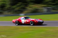 IMG 3596