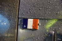 The flag