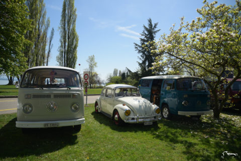 VW COX & T2