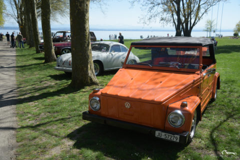 VW 181