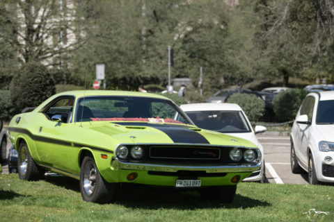 Dodge Challenger
