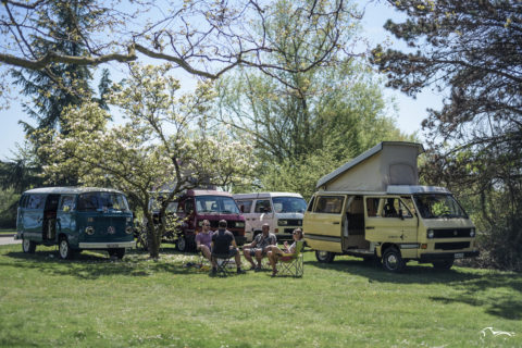 VW T2 & T3