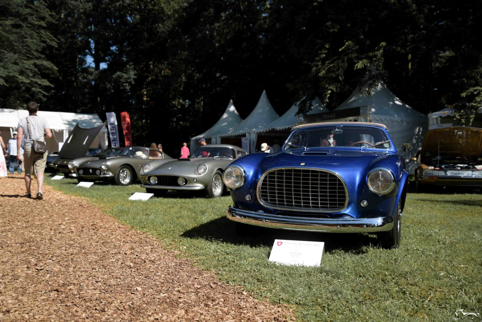 Ferrari 250 GT Berlinetta & 250 GT Berlinetta Tour de france & 342 America Vignale