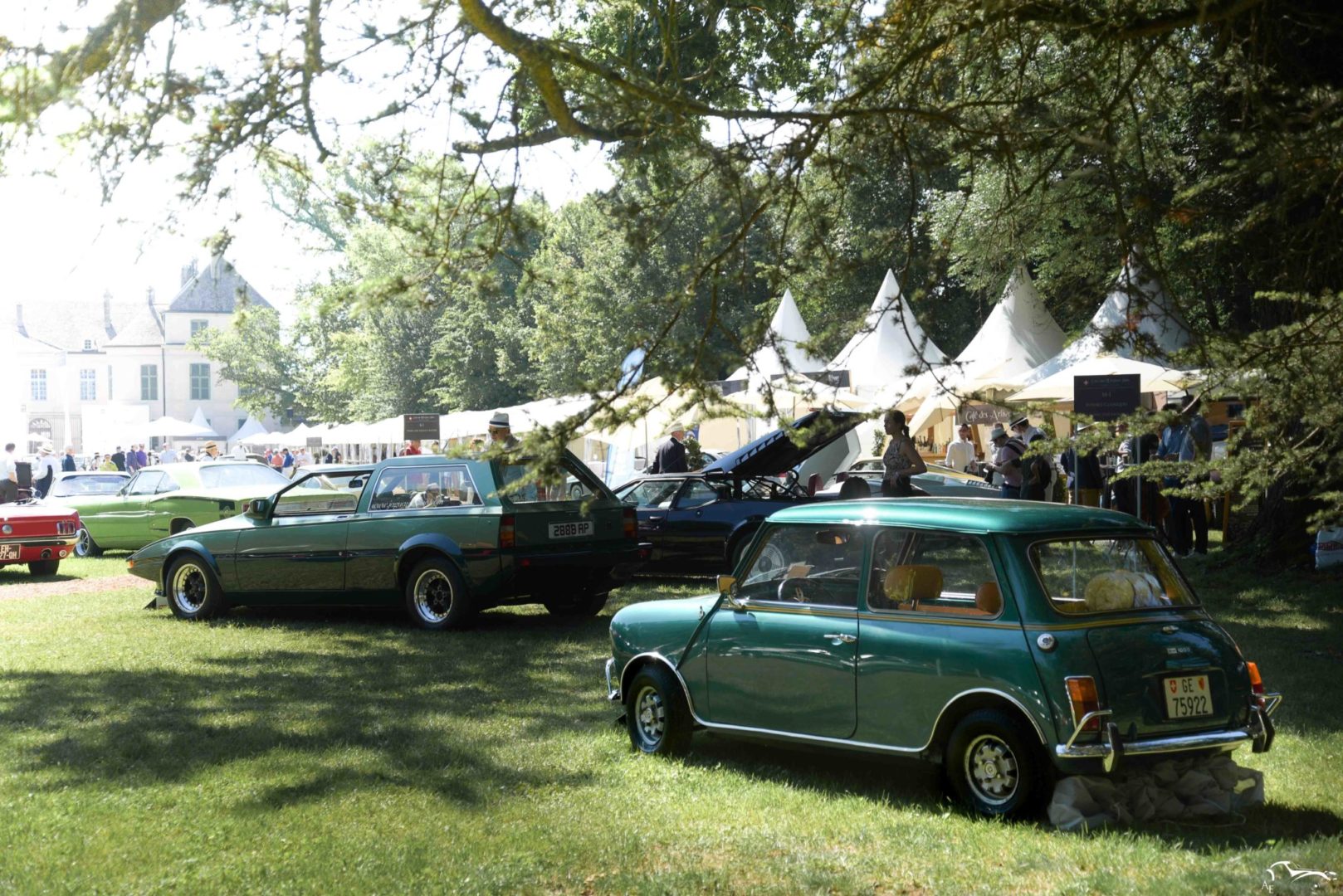 Mini 1000