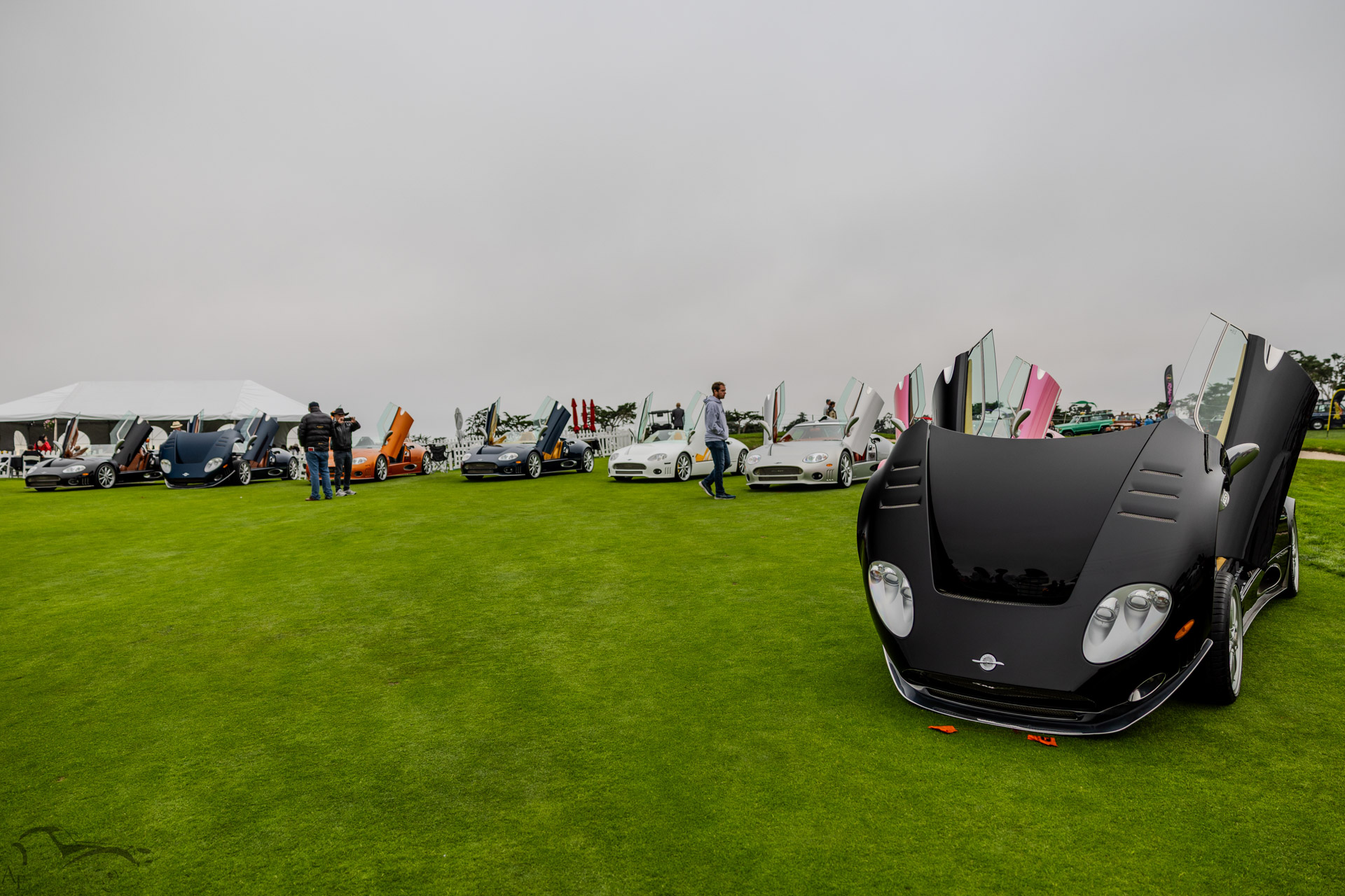 Paddock Monterey 2025 - Spyker Lineup