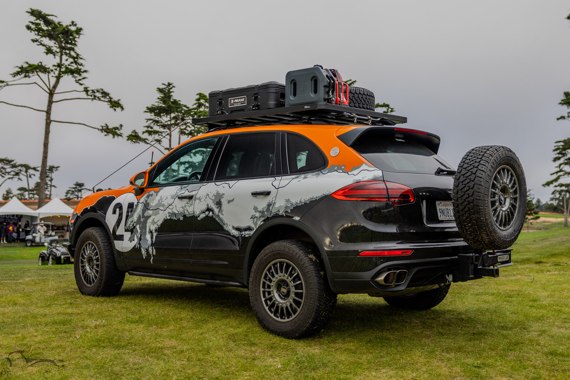 Paddock Monterey 2025 - Porsche Cayenne Turbo Arctic Circle