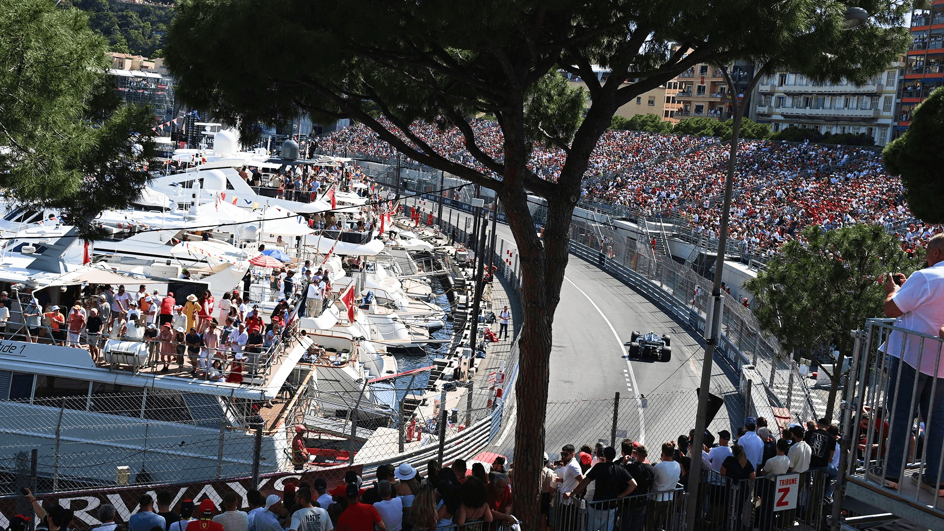 Monaco GP 2026 2