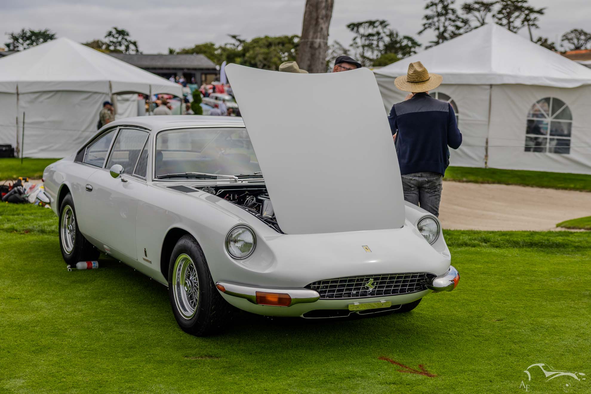 White Ferrari 365 GTC