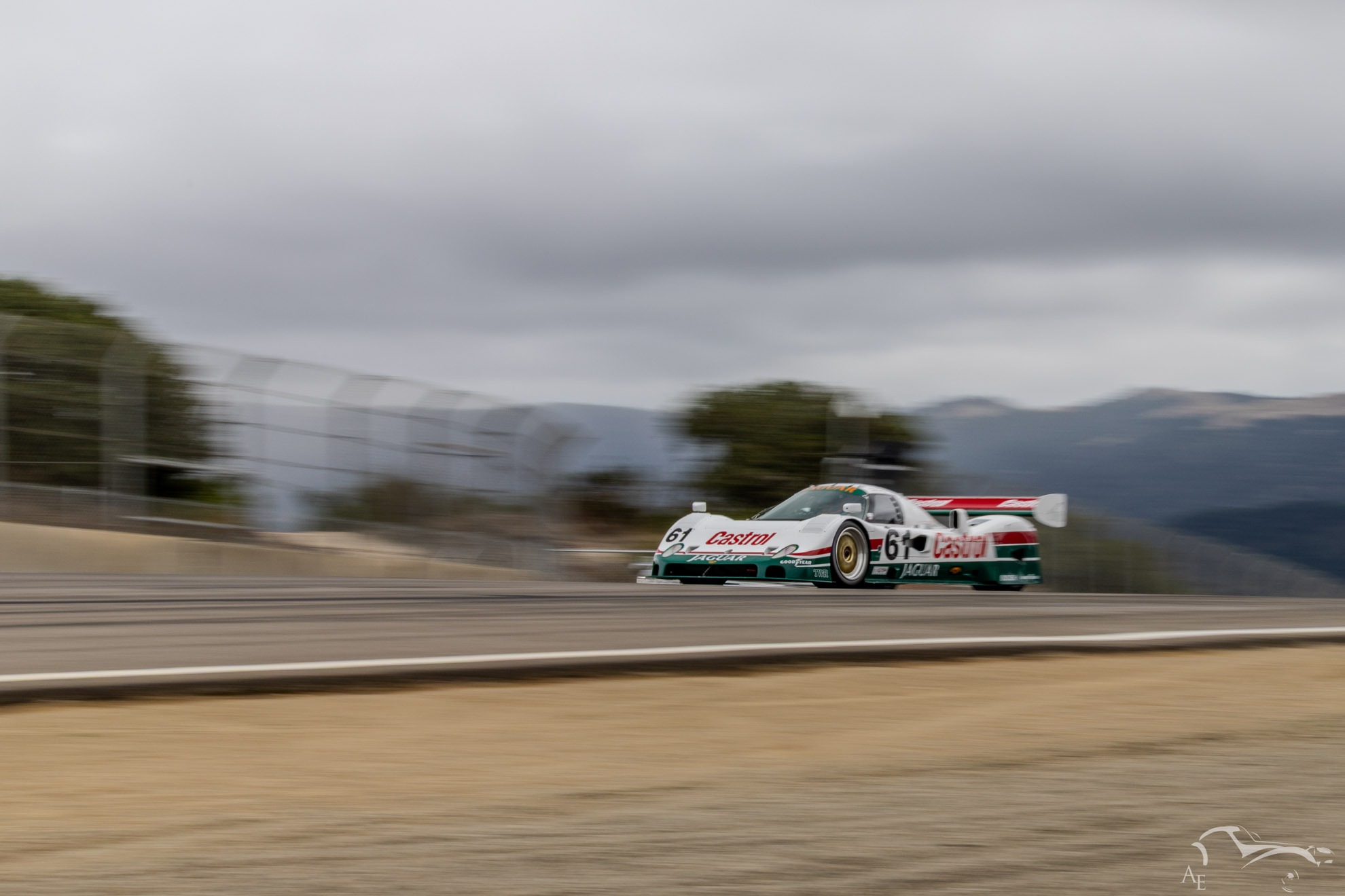 0T9A2956
